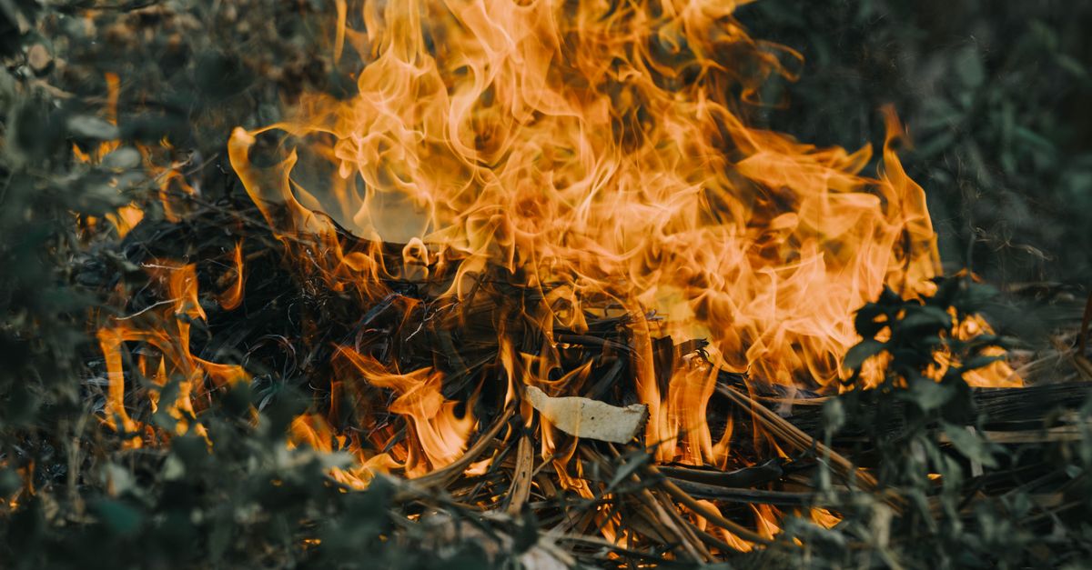 Comment faire un feu de camp sans briquet