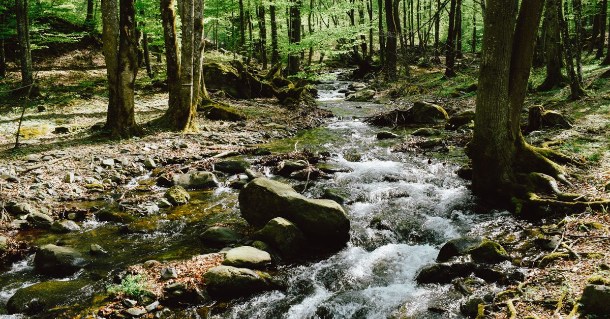 Comment filtrer l&rsquo;eau en pleine nature sans tomber malade