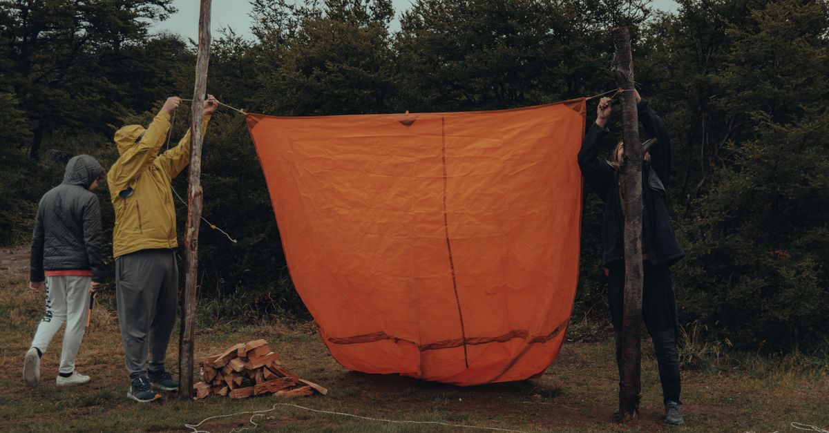 Building an Improvised Shelter in the Wild