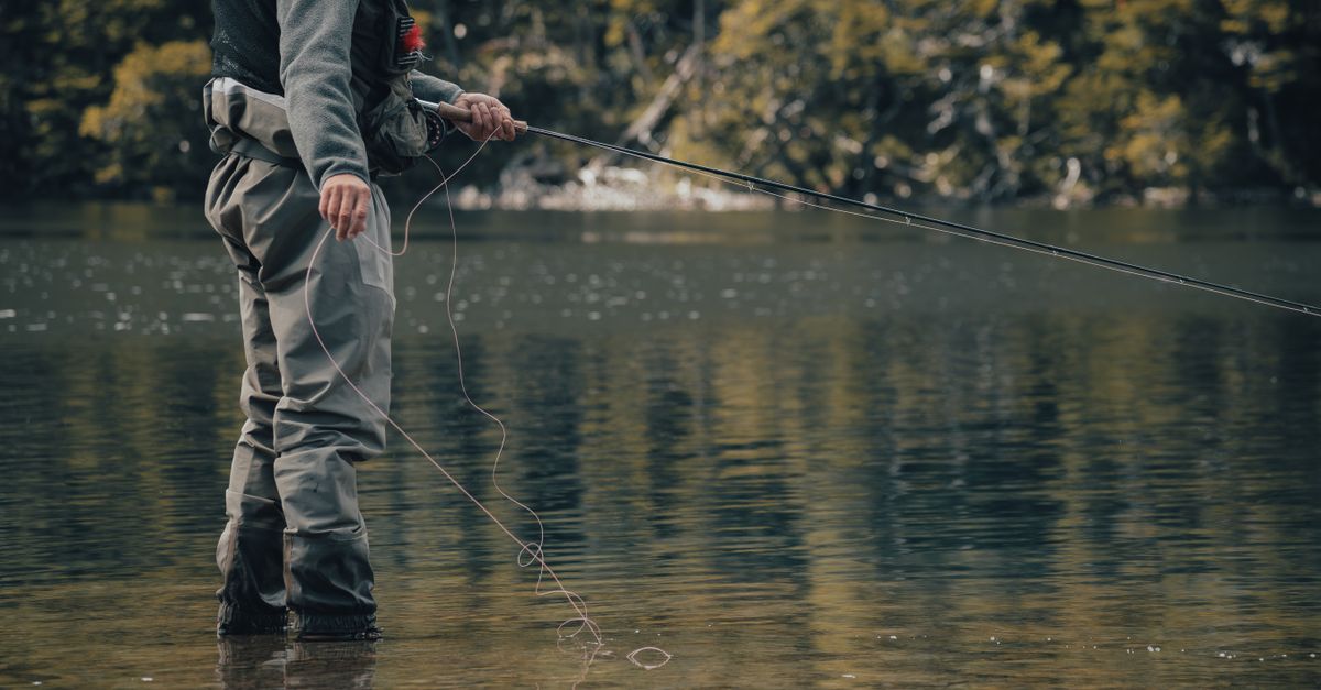 Comment s’alimenter en pleine nature sans mettre sa santé en danger