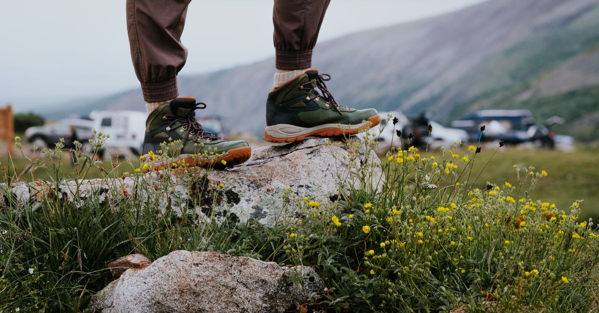 Chaussures de randonnée montantes vues de dos sur un rocher en montagne