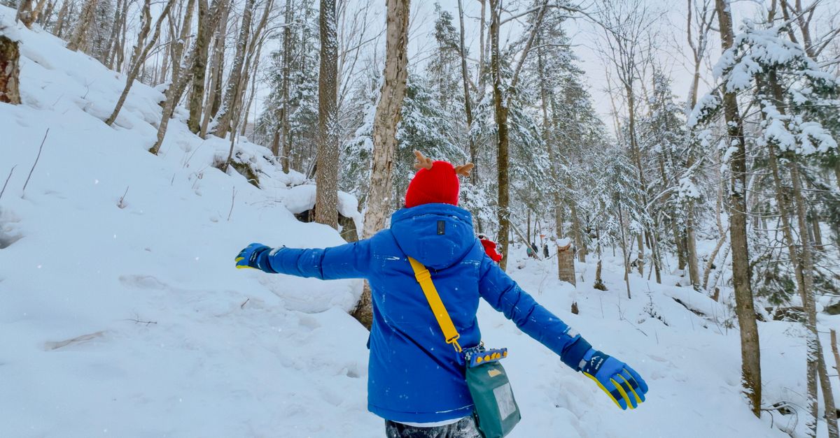How to Choose the Right Winter Hiking Gloves for the Trail