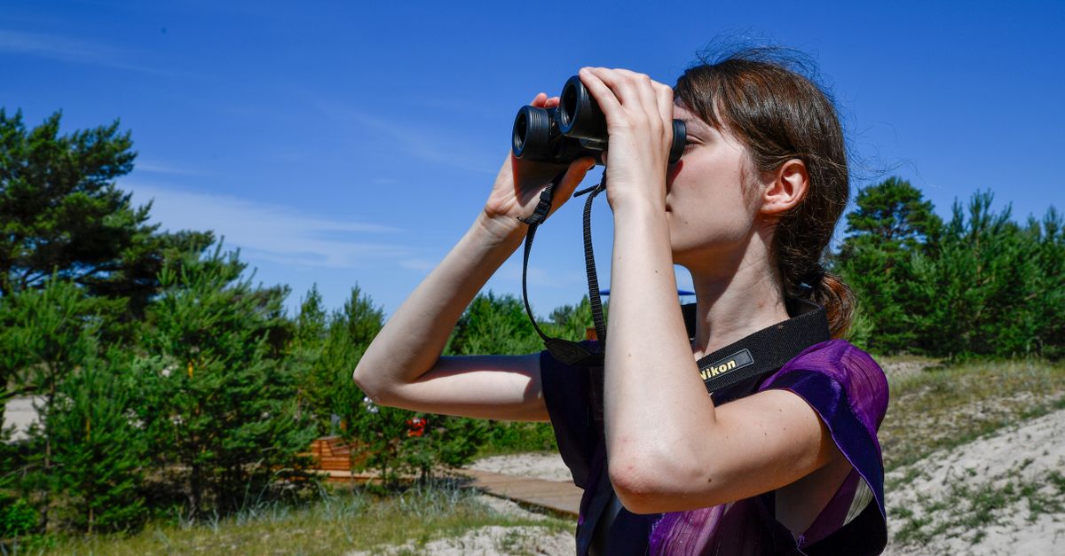 Jumelles observation oiseaux, notre sélection pour l&rsquo;ornithologie