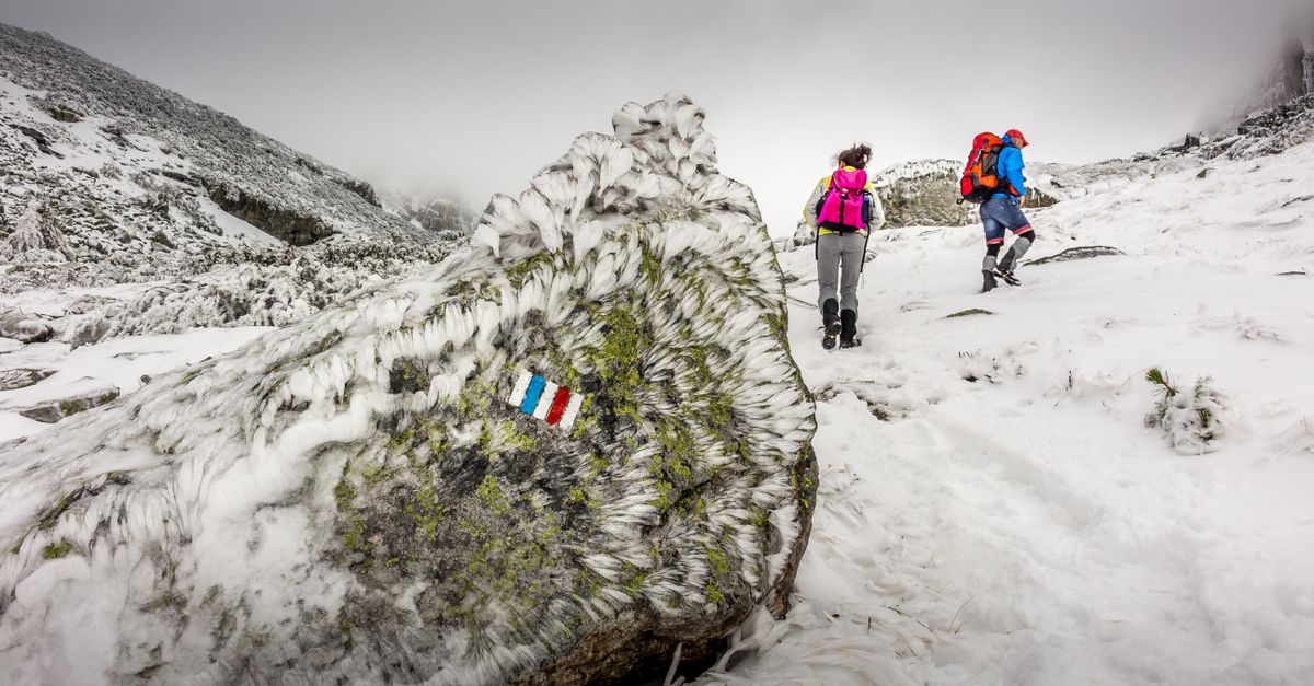 Survivre en montagne et au grand froid