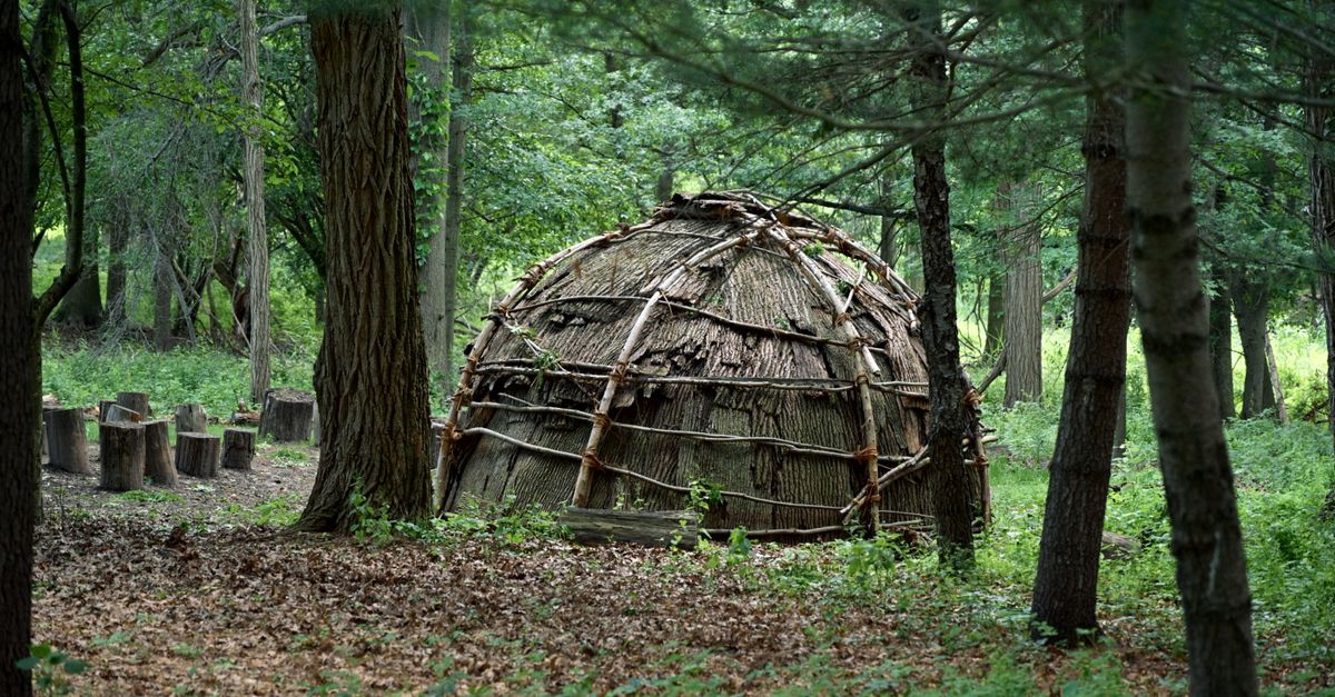 Construire un abri de fortune, hutte traditionnelle en bois en forêt