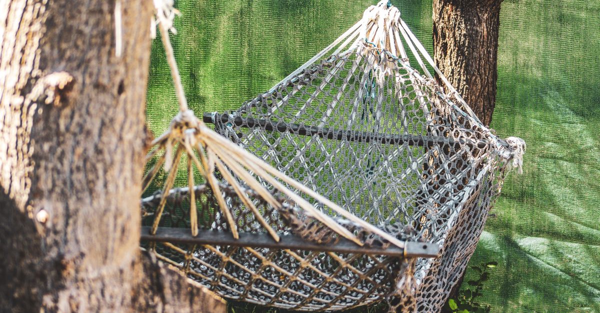 Accrocher son hamac en forêt, la technique qui change tout