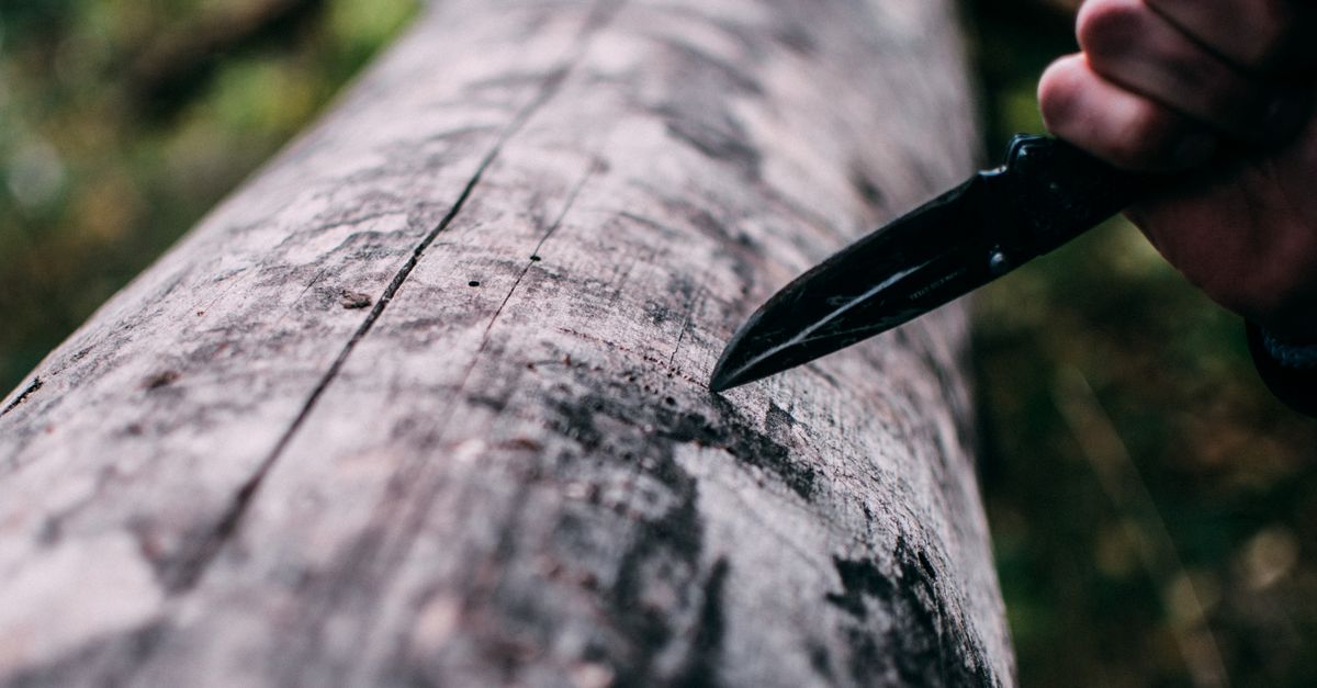 Couteau de survie, ce qui fait la différence sur le terrain