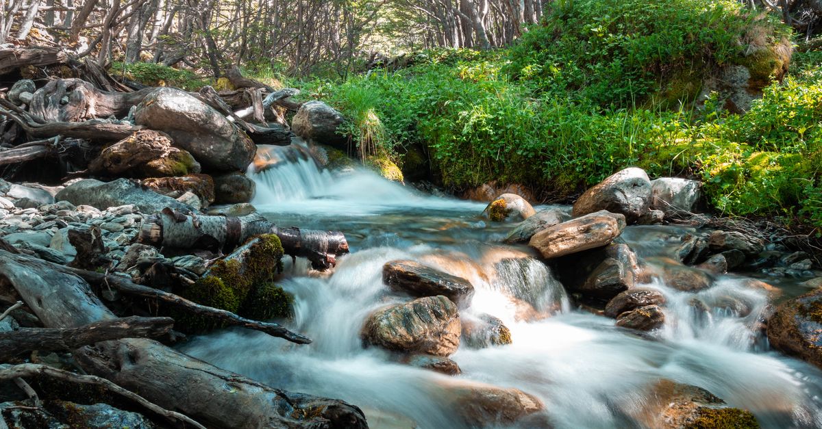 Fabriquer un filtre à eau improvisé avec des matériaux naturels