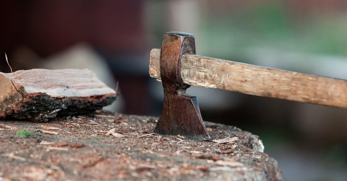 Hache de bushcraft, laquelle choisir pour couper, fendre et construire