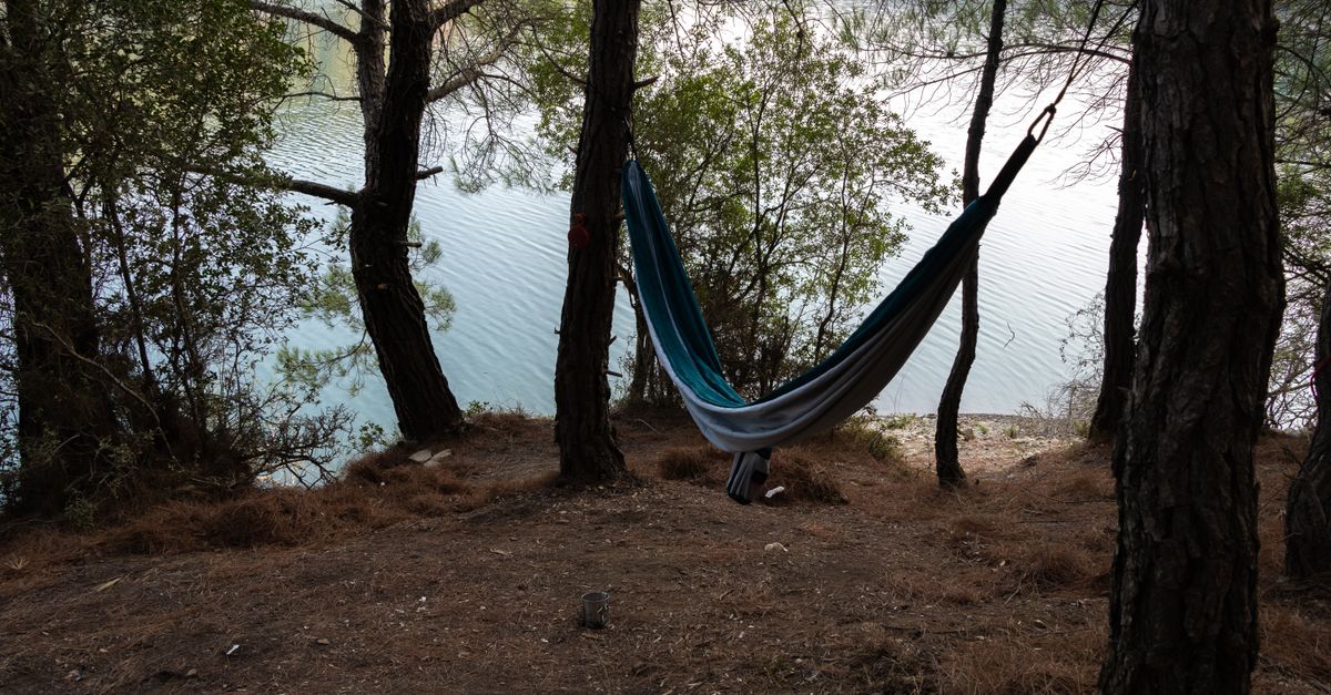 Hamac de camping suspendu entre deux arbres en forêt