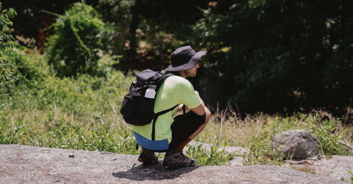 Observing Wildlife Without Being Spotted, the Right Way