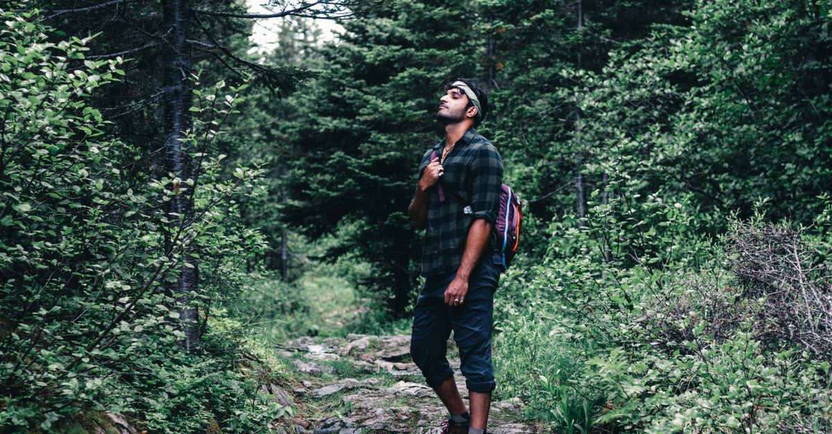 Lost in the Woods, the STOP Method