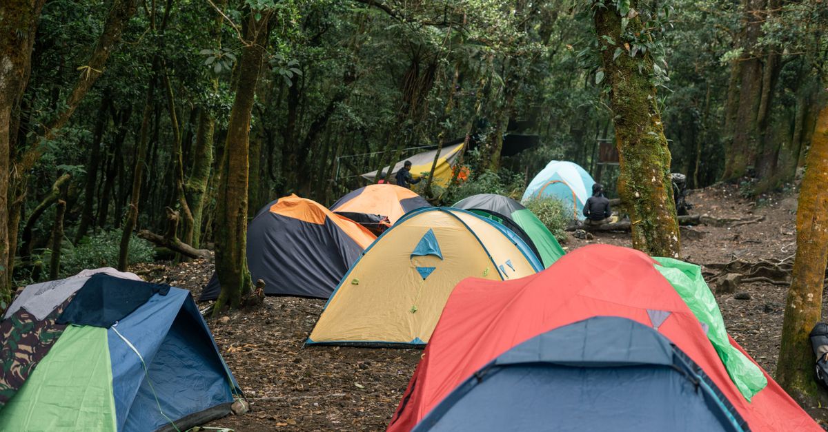Field-repairing your hiking gear, tents pitched in a damp forest