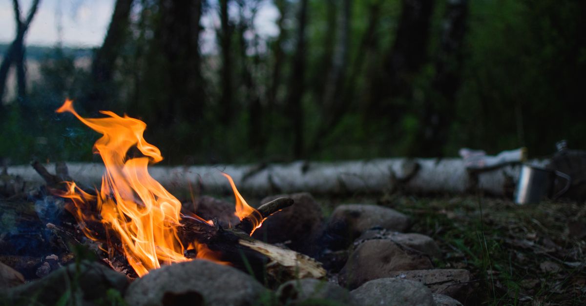Improvised birch bark torch lit at night in the forest