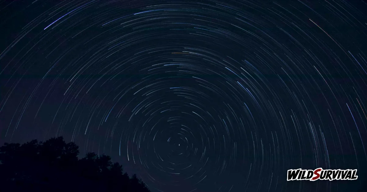 Find north at night from circular star trails wheeling above a dark treeline