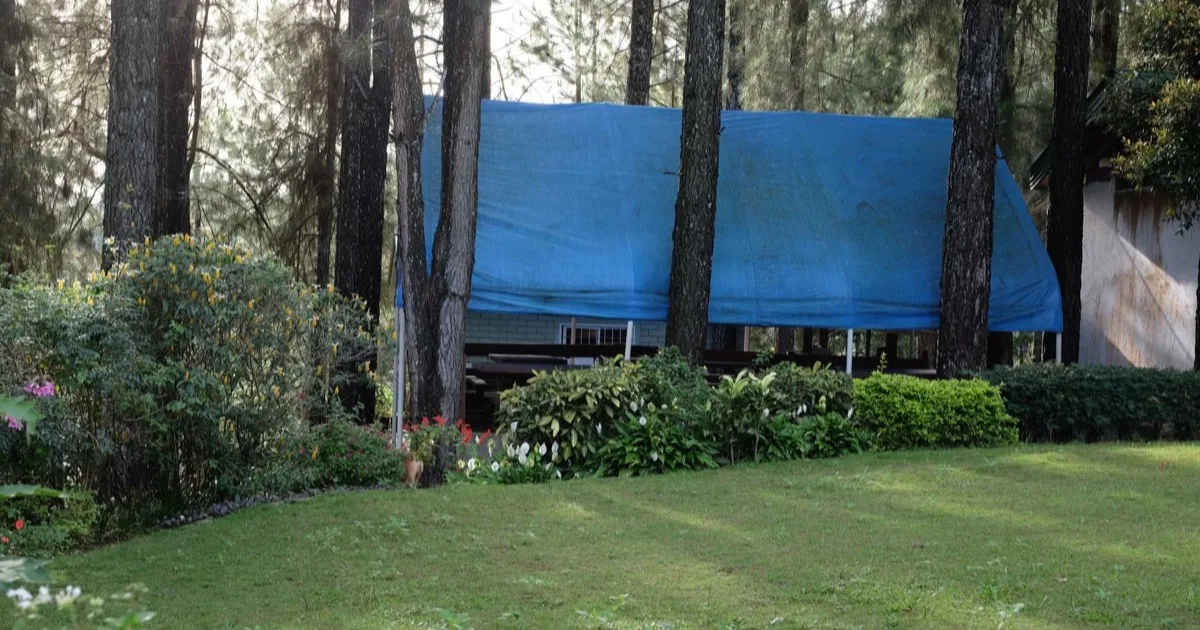 Monter un tarp en forêt : toile bleue tendue entre de grands arbres